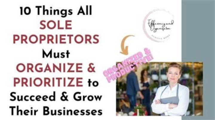 Are sole proprietors always small?