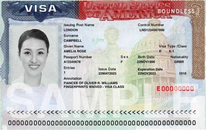 Can you work on an E-3 visa?