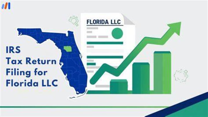 Do Florida LLCs file a tax return?