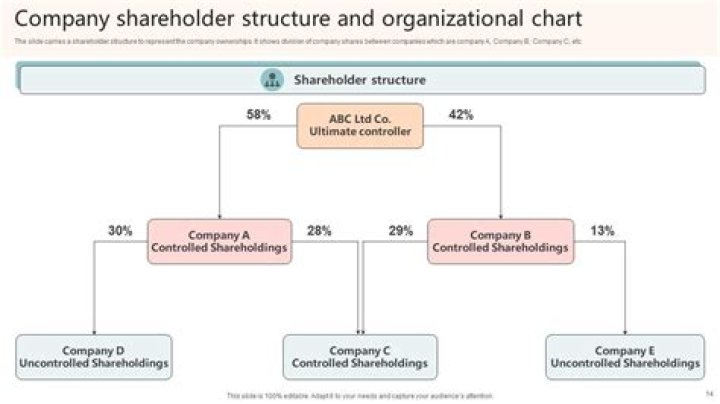 Do shareholders have to take equal distributions?