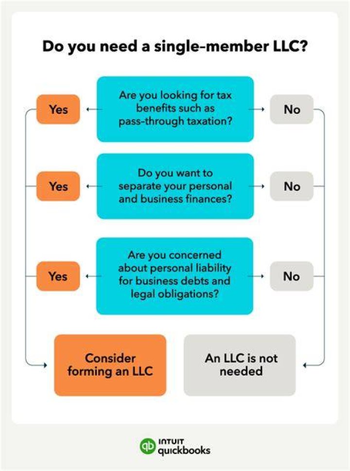 Do single member LLCS need W 2?