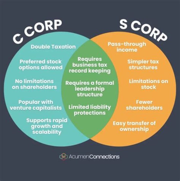 Does an S corp issue a k1?