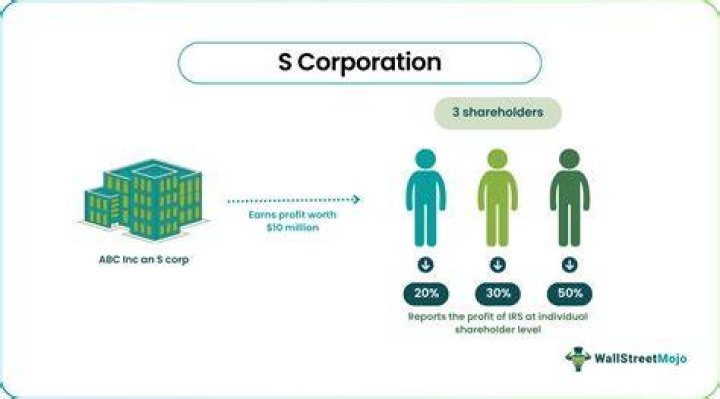 Does an S Corp need a CPA?