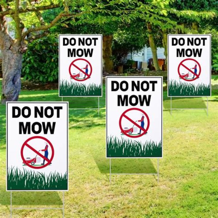 Does HOA mow your lawn?