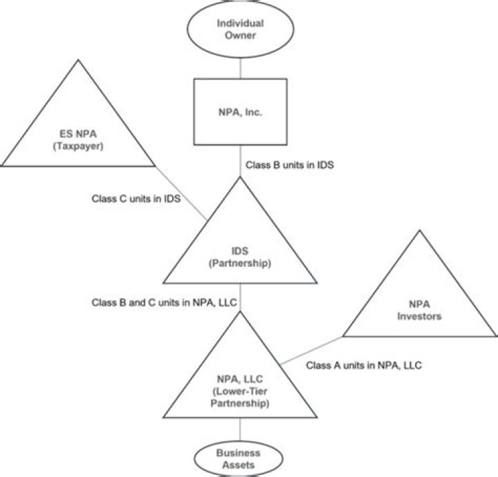 How do profits interests units work?