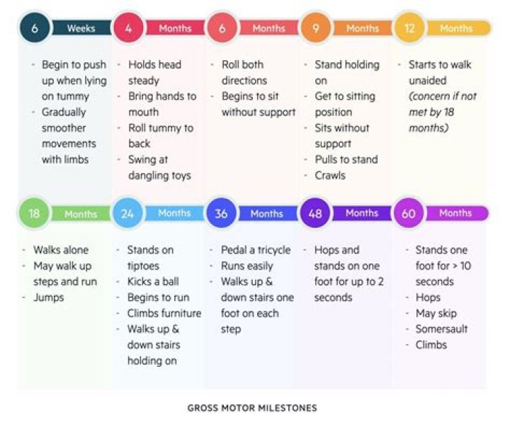 How do you remember gross or net?