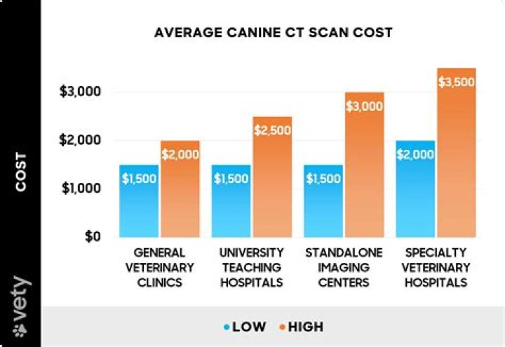 How much does a CT scan cost 2020?