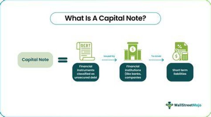 What are capital notes 4?