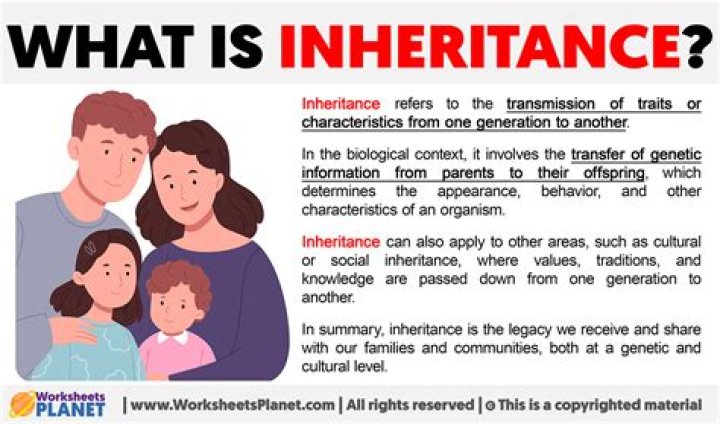 What are the EU inheritance rules?
