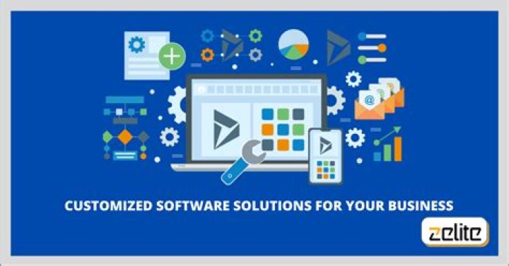 What are the examples of customized application software?
