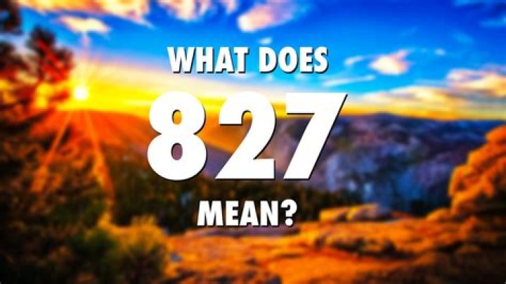 What does SSA-827 mean?
