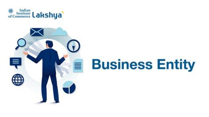 What is a GmbH entity?