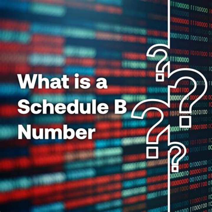 What is a Schedule B 2?