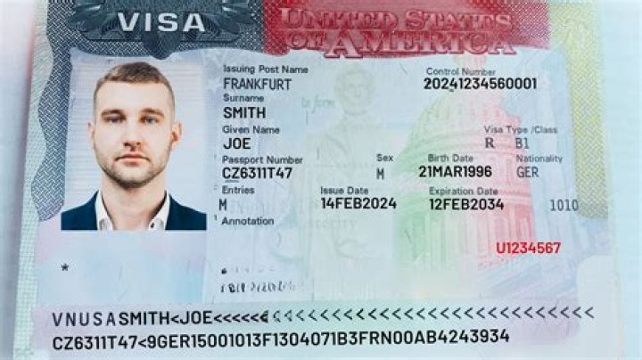 What is B1 visa status?