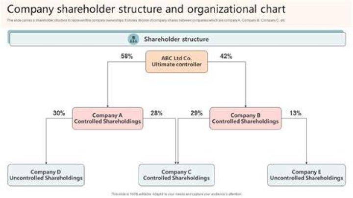 What is employee shareholder?