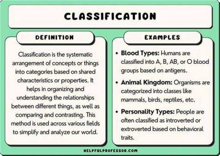 What is s classification?