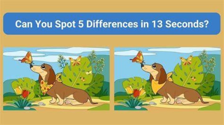 What is the difference between spouses and partners?