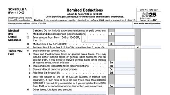 Where does line 5a on Schedule A come from?